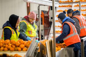 Read more about the article The Solution to Feeding the World Lies in the Cold Chain