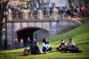 Read more about the article Navigating the College Application Process